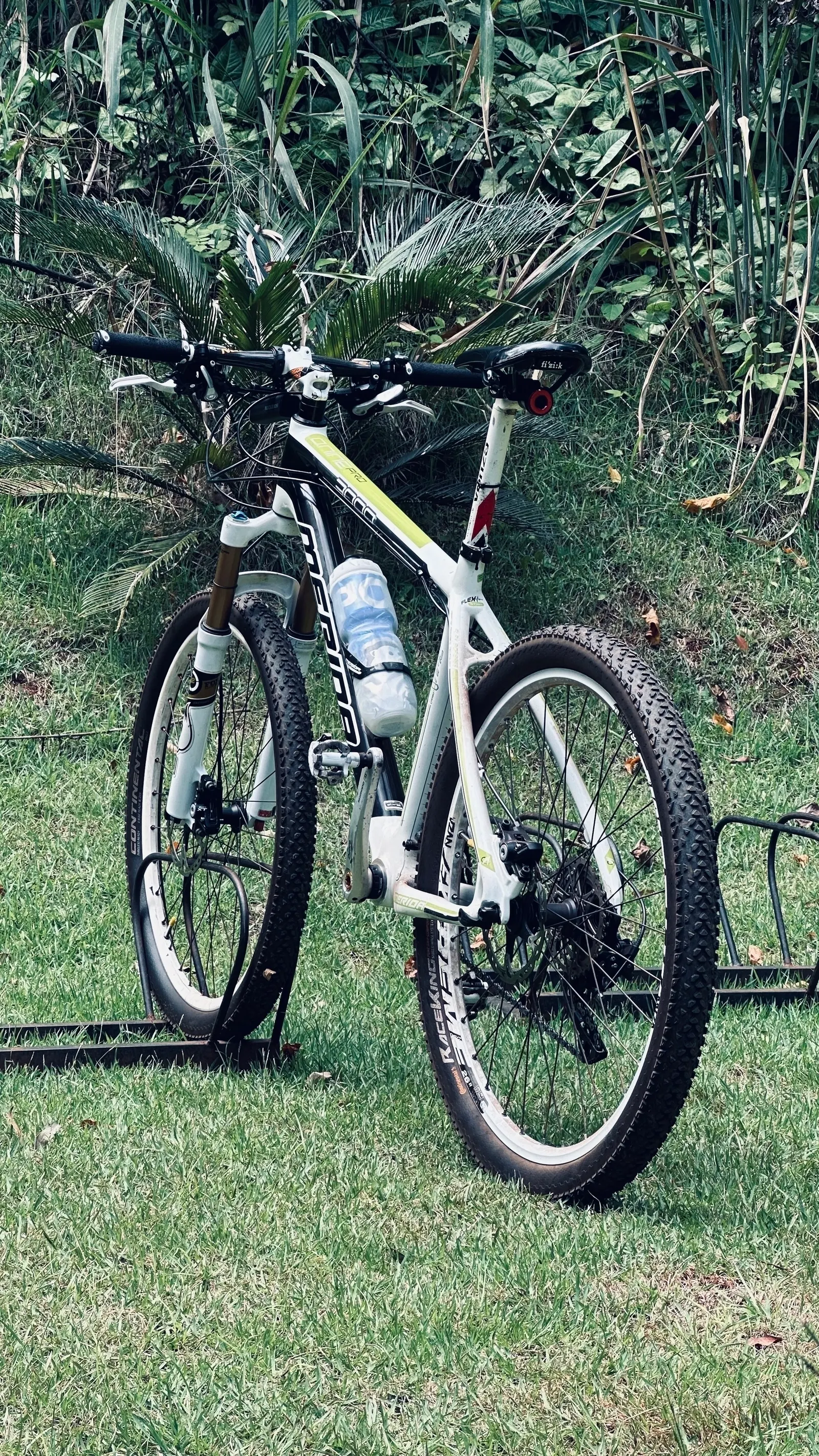 Mountain bike resting on the grass